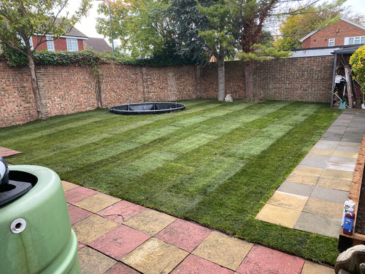 🌿 Lawn Installation (Sod or Seeding)