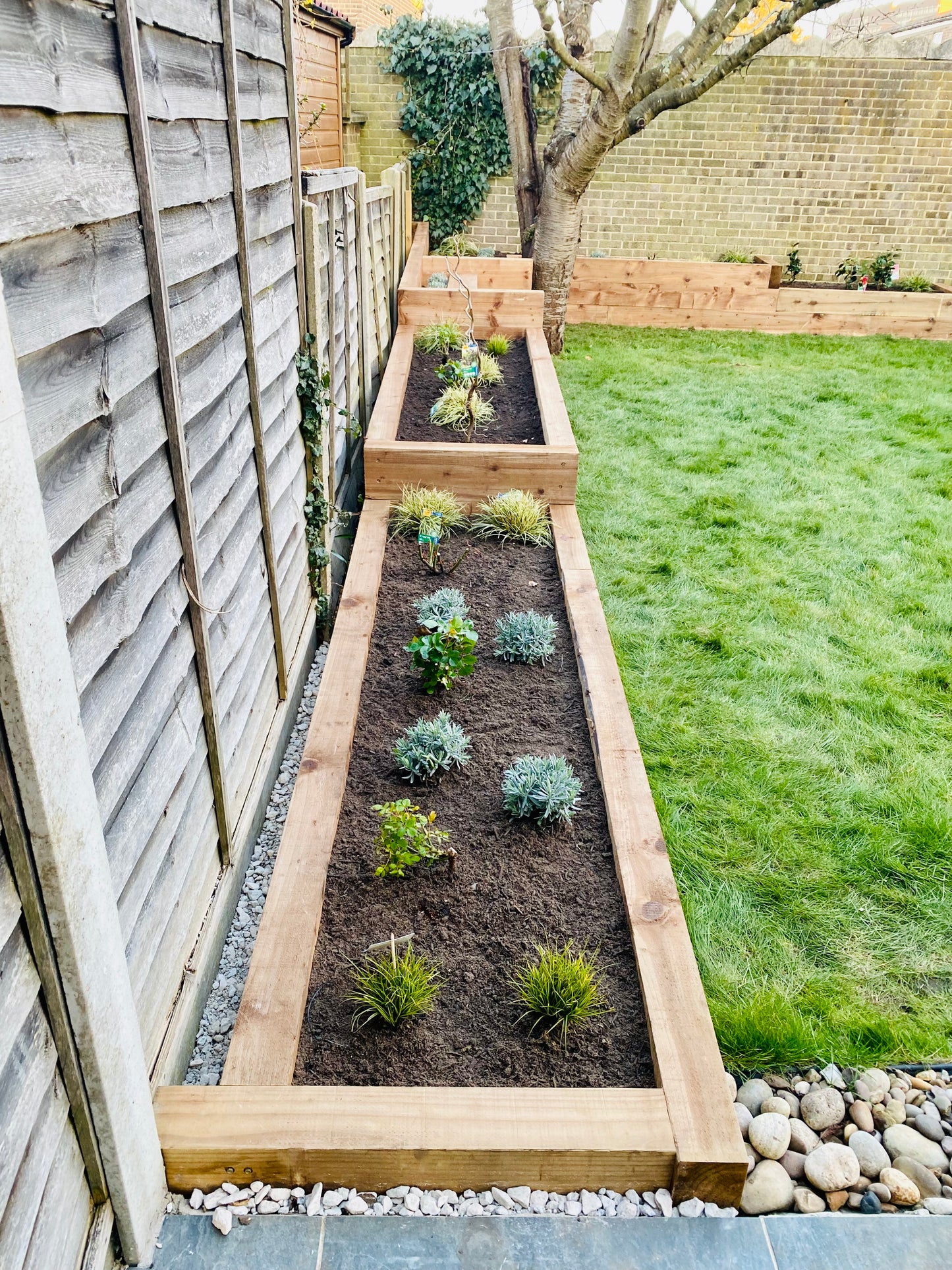 🌼 Planting Services