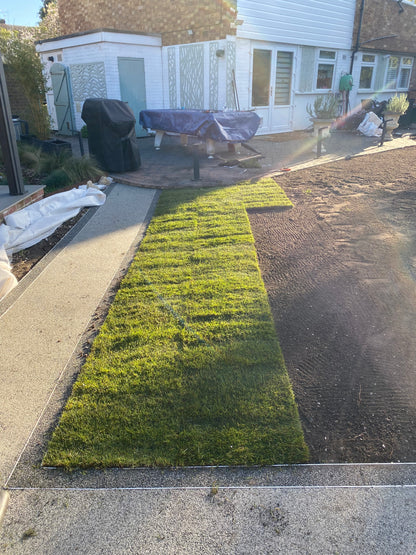 🌱 Fertilization & Soil Care