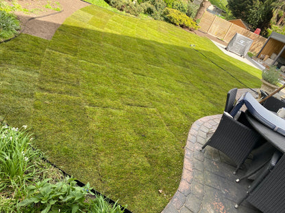 🌿 Lawn Care & Maintenance