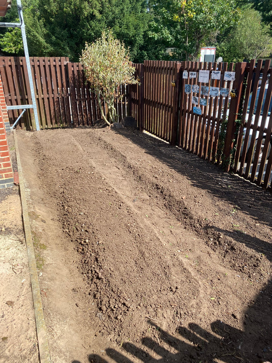 🌱 Fertilization & Soil Care